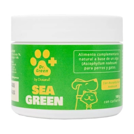 Seagreen
