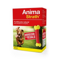 Anima strath