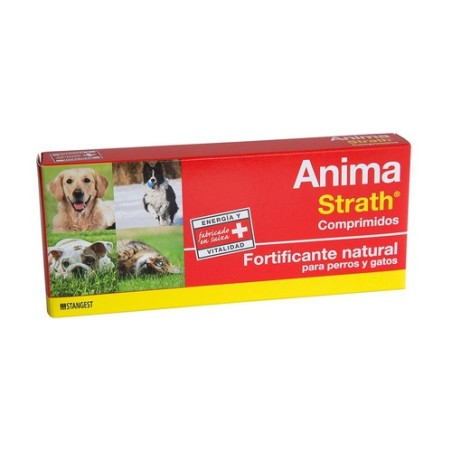 Anima strath magnesio