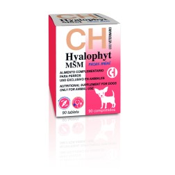 Hyalophyt msm