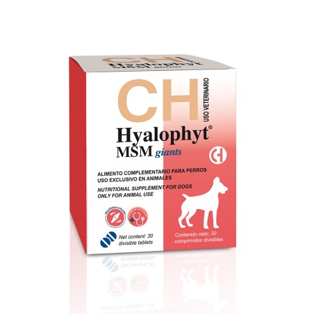 Hyalophyt msm