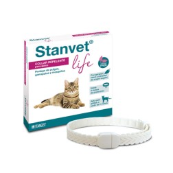 COLLAR STANVET LIFE