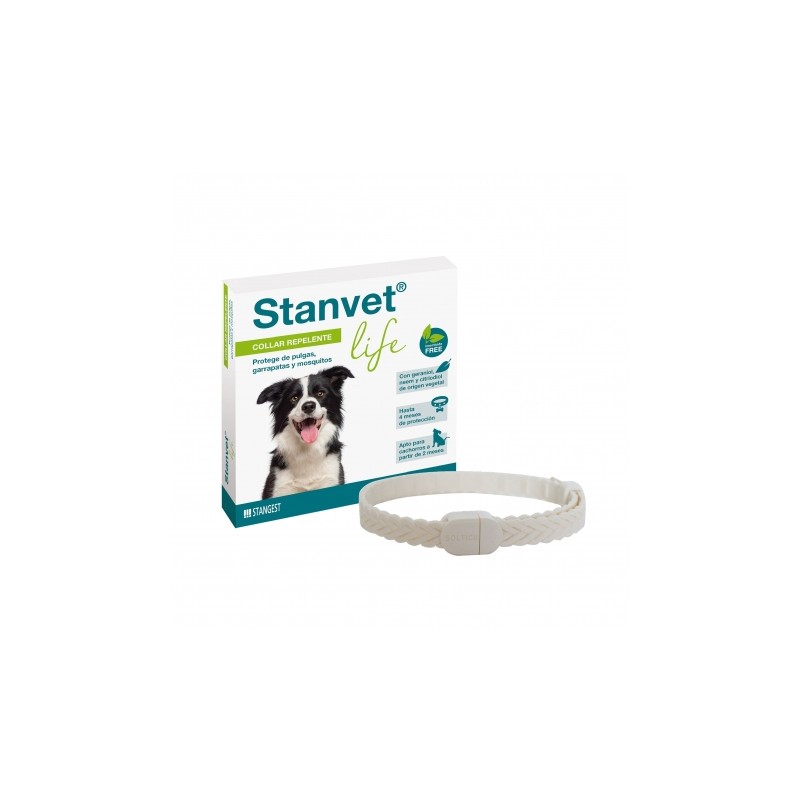COLLAR STANVET LIFE