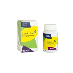 Condrocare