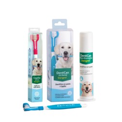 Kit dental