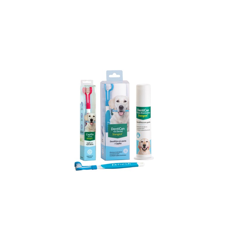 Kit dental