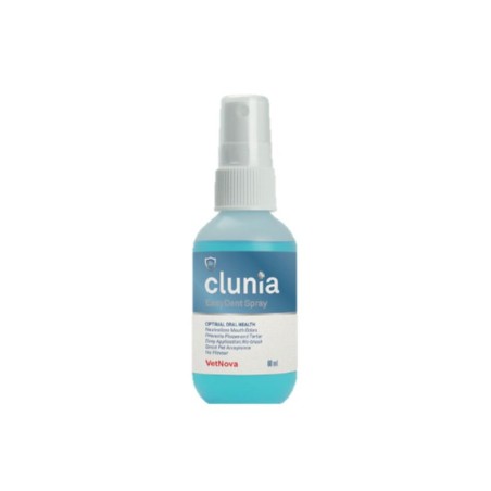 CLUNIA® EasyDent Spray 60ML
