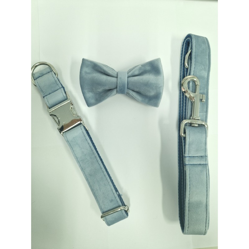 Collar con correa y pajarita