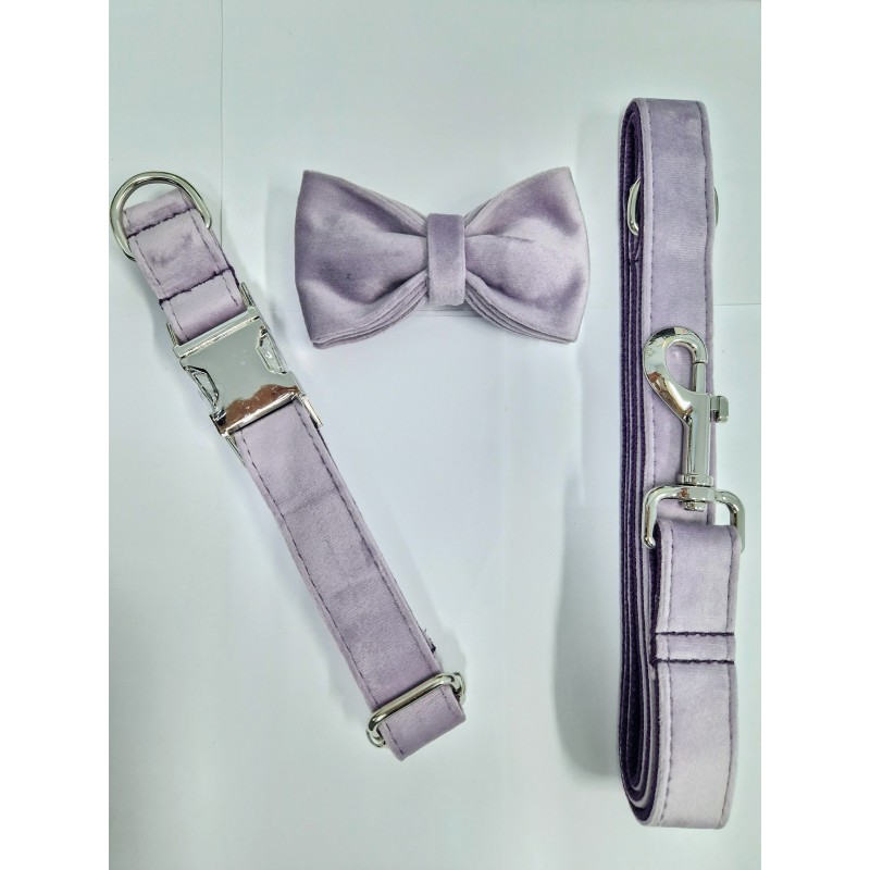 Collar con correa y pajarita