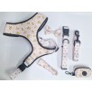 Pack WanderWoof arnés , correa , pañuelo , collar , lazo para perro