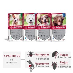 Advantix pipetas Antiparasitarias