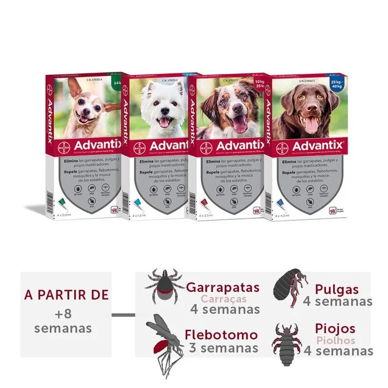 Advantix pipetas Antiparasitarias