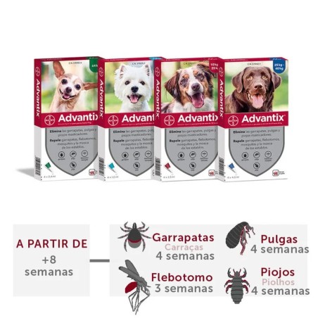Advantix pipetas Antiparasitarias