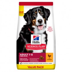 SP CANINE LARGE POLLO 18KG