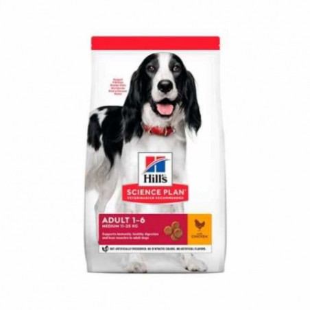 SP CANINE MEDIUM POLLO