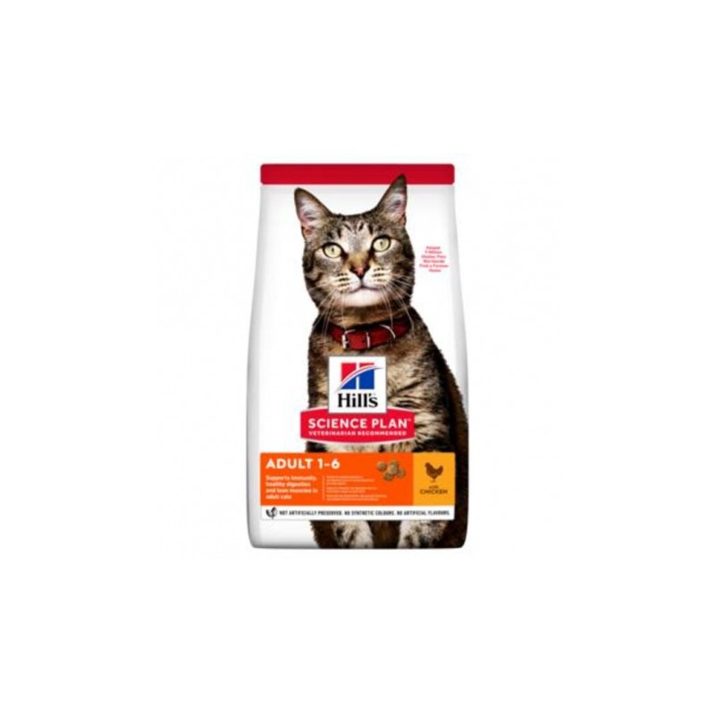 SP FELINE POLLO