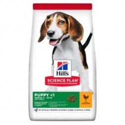 SP PUPPY MEDIUM POLLO