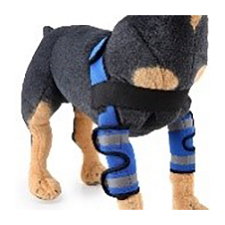 PROTECTOR DE PATAS PARA PERROS