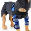 PROTECTOR DE PATAS PARA PERROS