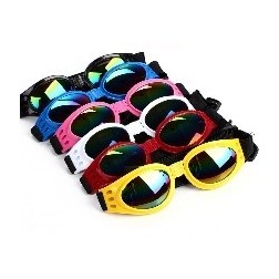 Gafas de sol