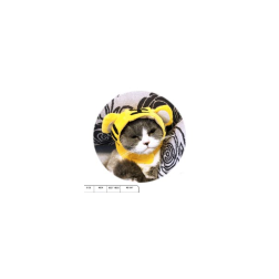 Gorro para gato