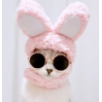 Gorro para gato