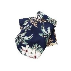 Camisa hawaiana