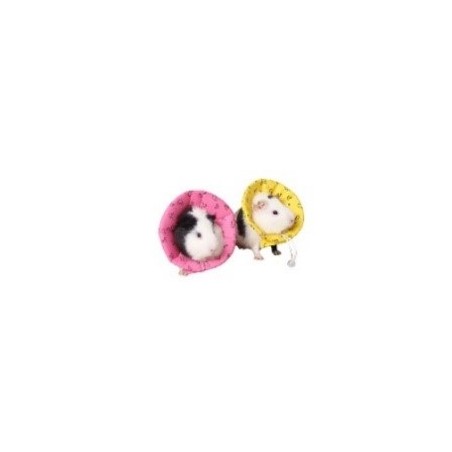 Gorro isabelino roedores