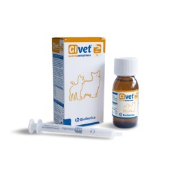 GIVET GEL GASTRO INTESTINAL 60 ML