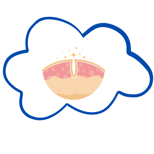 Dermatológico