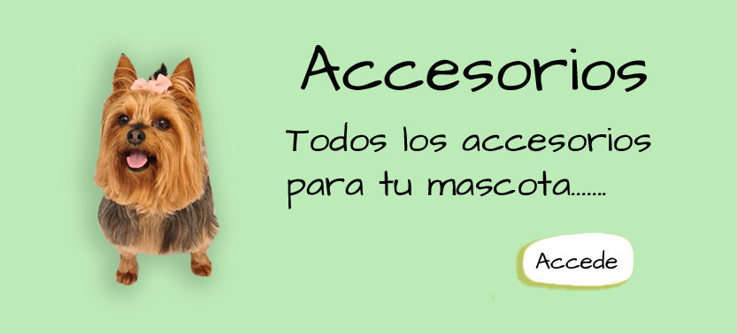 Offer Banner